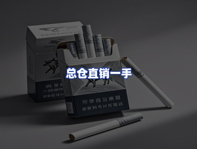 专业团队